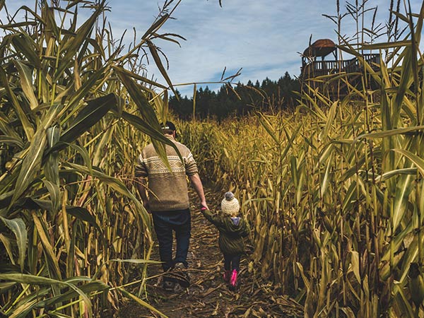 Multiphosphate - Matières fertilisantes pour l'agriculture Multiphosphate - Matières fertilisantes pour l'agriculture