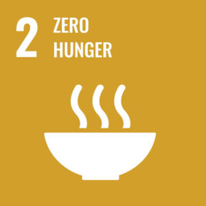 icon Sustainable Development : zero hunger
