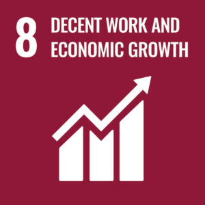 icon Sustainable Development : decent work and economic growth