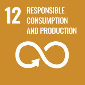 icon Sustainable Development : responsible consumption and production