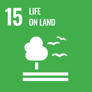 icon Sustainable Development : life and land